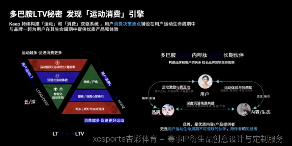 优质服务 | XCSPORTS